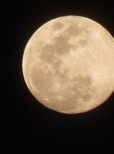 lubie-stars-regime-loup-garou-030214388